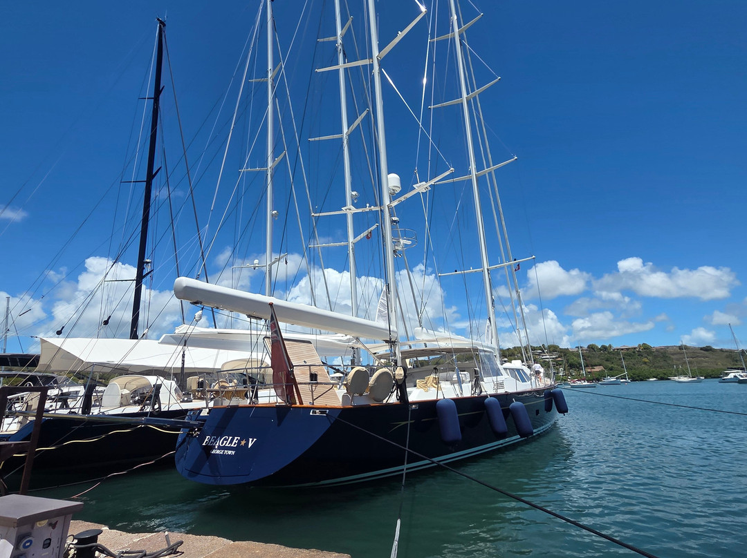 Tropical Adventures - Island Safari-圣 约翰必去景点