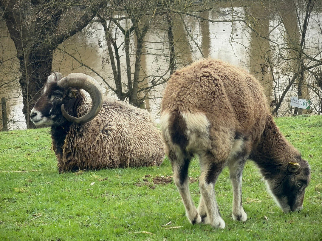 Le Refuge de l'Arche-Chateau-Gontier必去景点