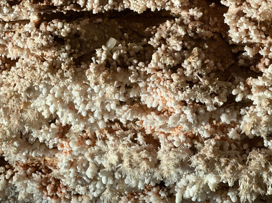 Wind Cave National Park-Wind Cave National Park必去景点