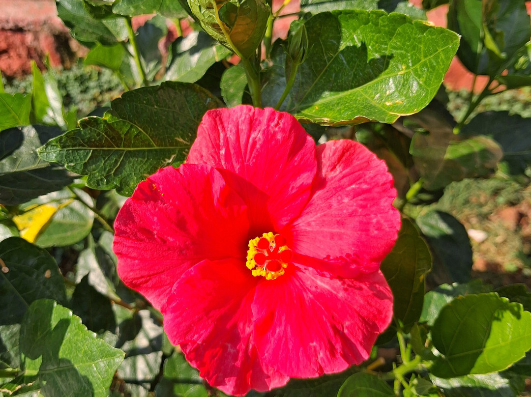 Sherbaug Nature Park & Resort-潘恰格尼必去景点