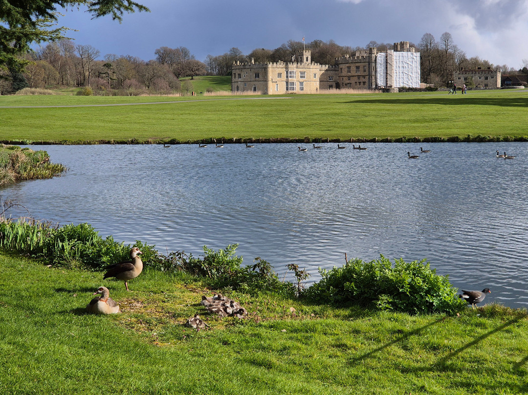 Leeds Castle Segway Tours-梅德斯通必去景点