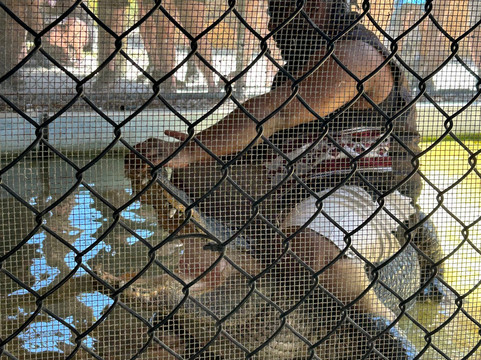 Captain Jack's Airboat Tours-大沼泽地必去景点