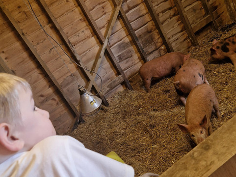 Quex Adventure Farm Park-Birchington必去景点