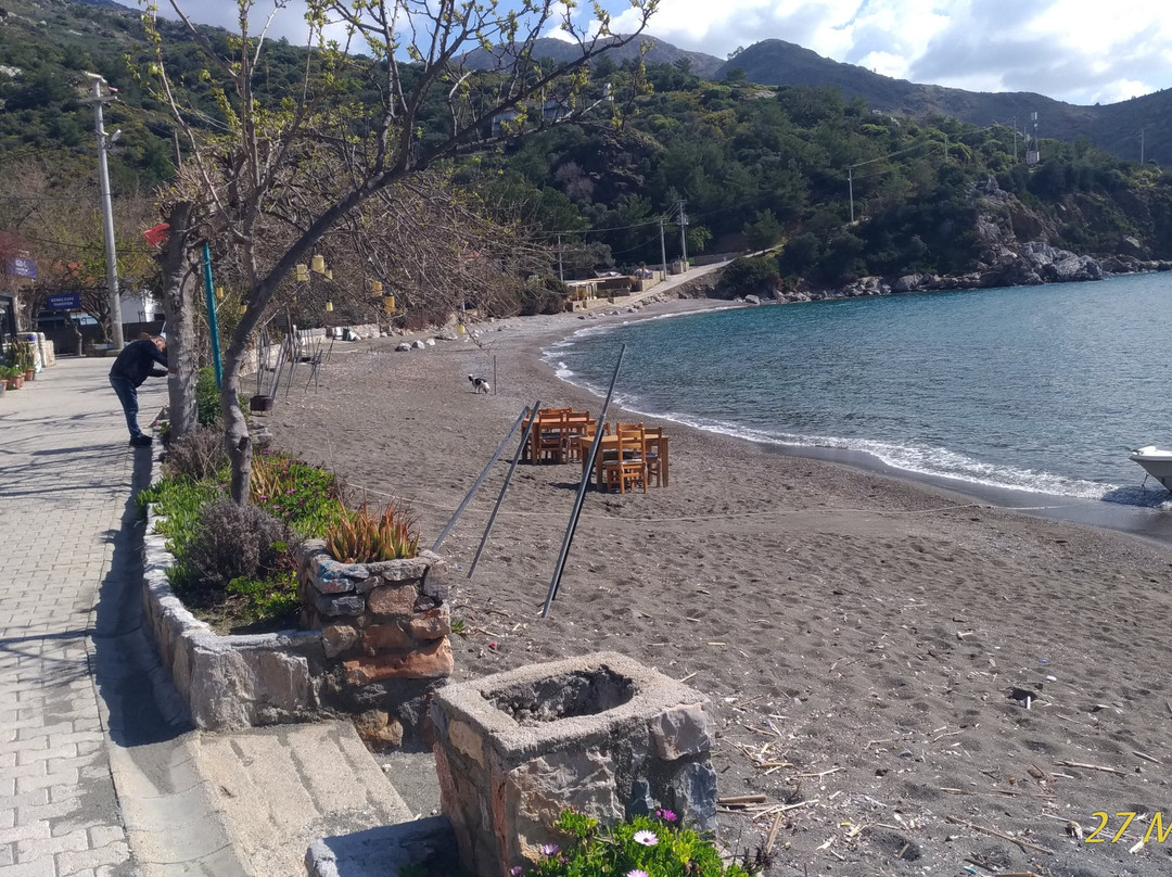 Hayıtbuku Koyu-Mesudiye必去景点