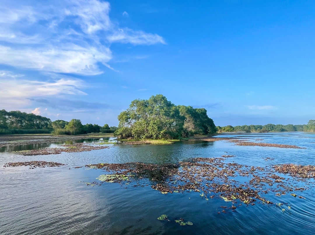 Kalametiya Eco Bird Watching-Kalametiya必去景点