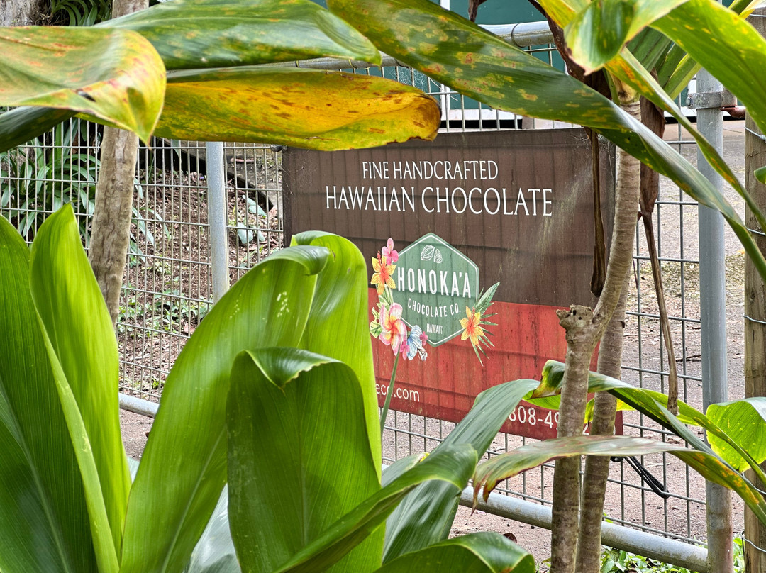 Honokaa Chocolate Co-霍诺卡阿必去景点