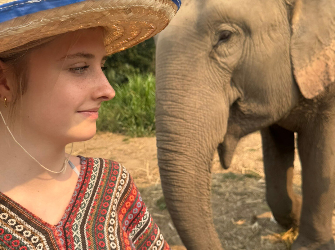 Chiangmai Elephant Heritage-清迈必去景点