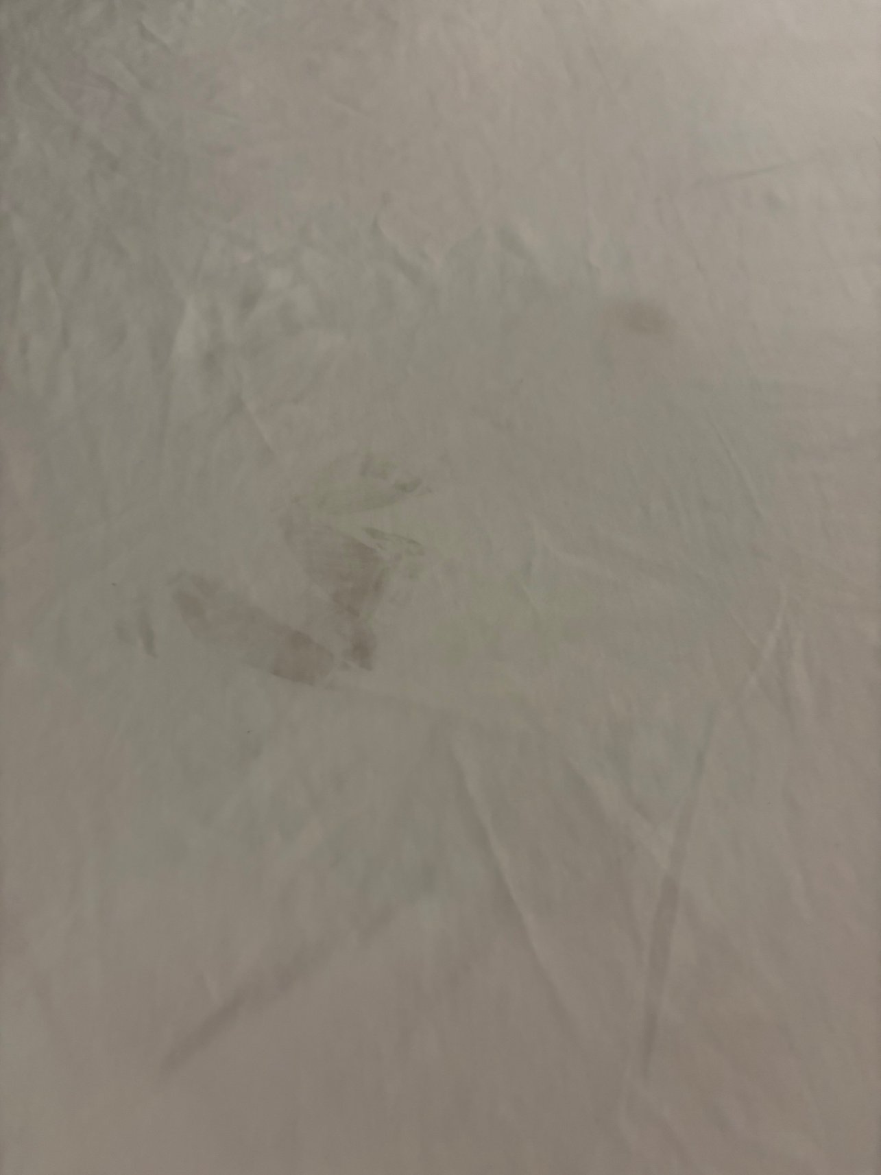 拉姆西酒店和会议中心-客卧