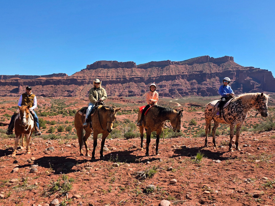 Moab Horses-莫阿布必去景点