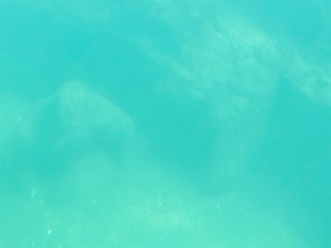 Nemosub Baia-Baiae必去景点