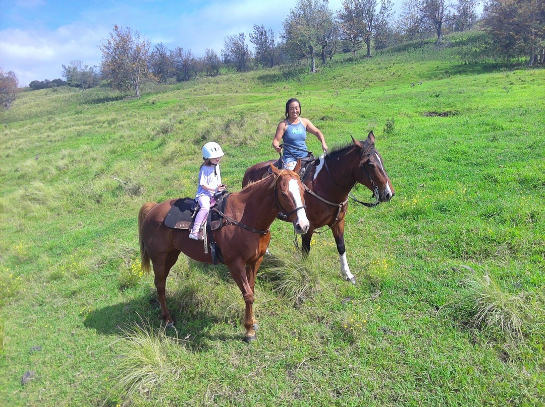 鲁达罗大农场-威可洛亚必去景点
