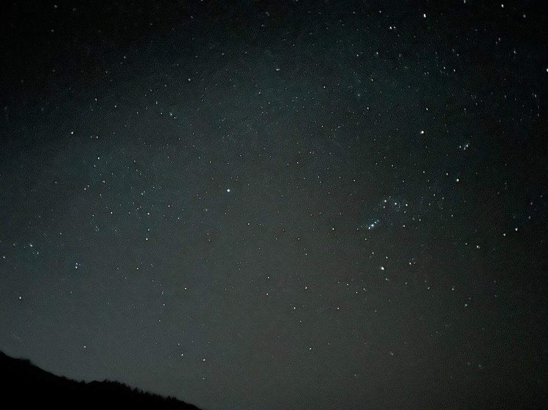 Discover Tenerife VIP Tours-圣克鲁斯-德特内里费必去景点