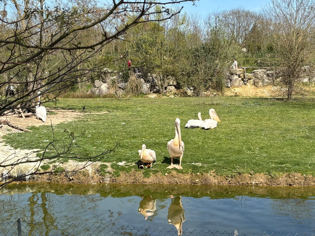 Parc Des Oiseaux-Villars-les-Dombes必去景点
