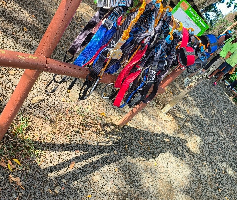 Lion's Parc-Le Vauclin必去景点