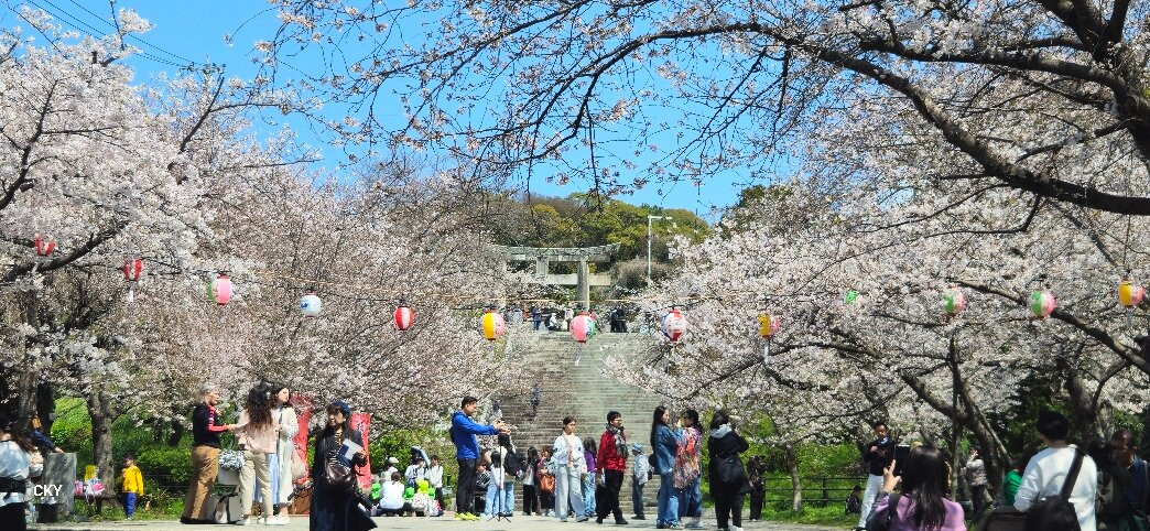 Nishi Park-Chuo必去景点