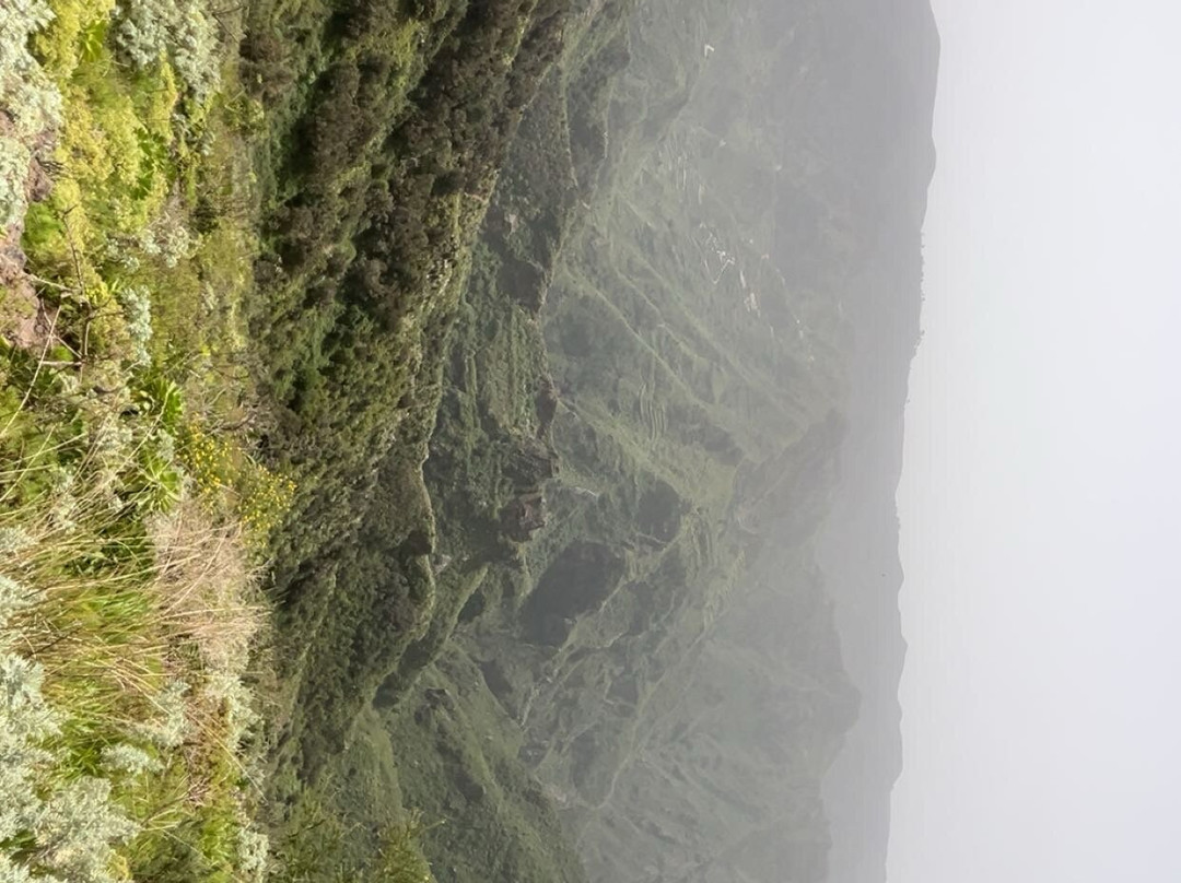 Teneriffa Kreaktiv - Day Tours-圣克鲁斯-德特内里费必去景点