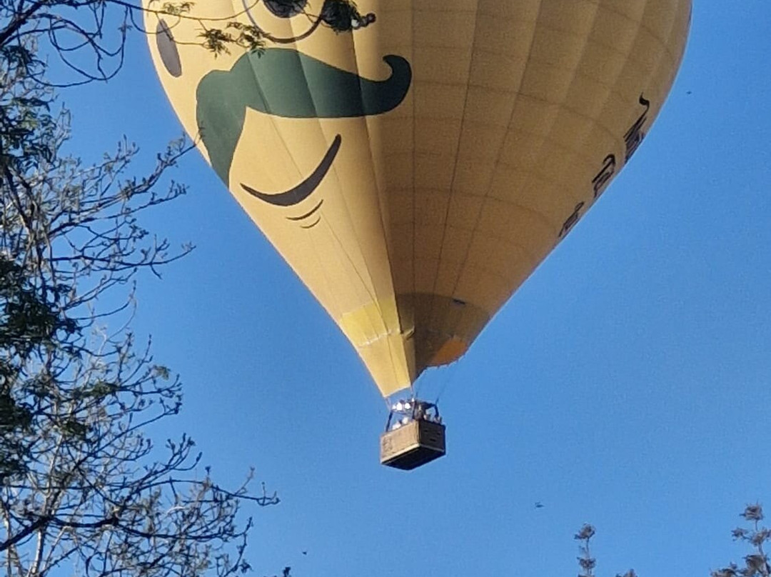 Montgolfieres Du Perigord-La Roque-Gageac必去景点