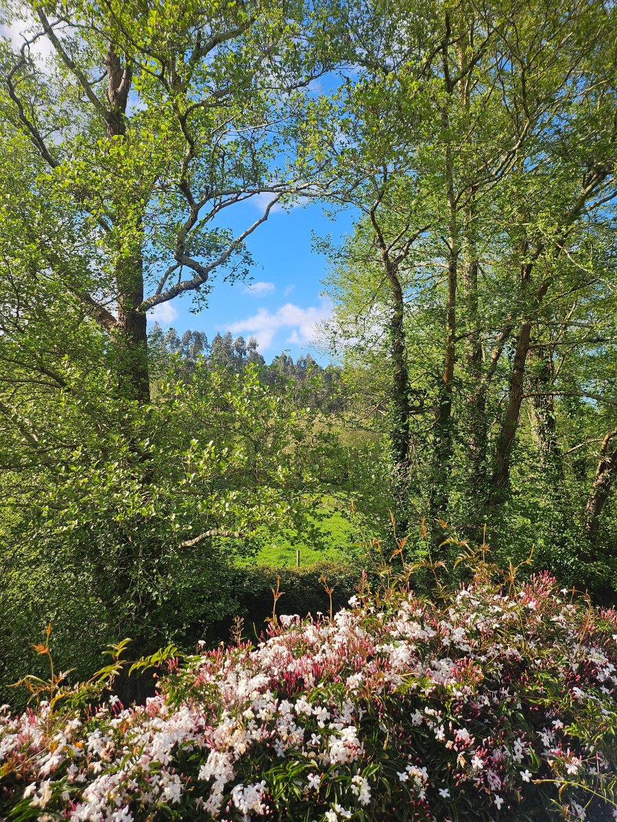 卢格尔德里奥乡村民宿-旅行者