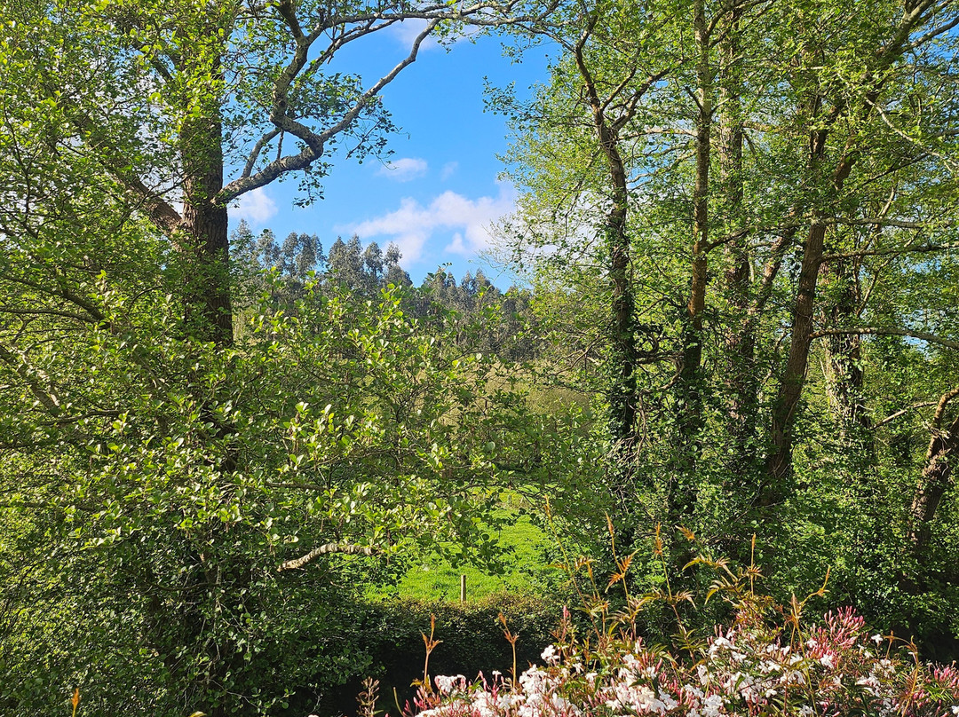 卢格尔德里奥乡村民宿主图