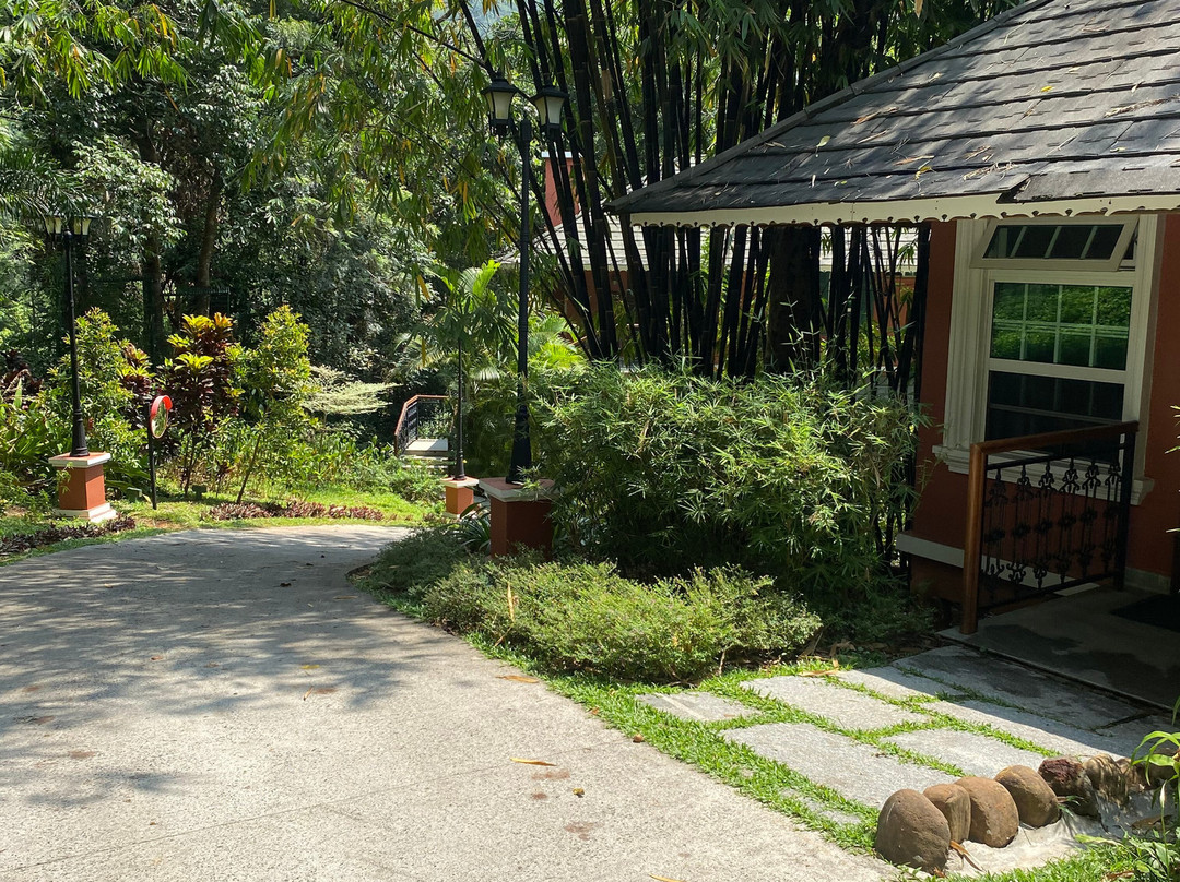 柯尔吉荒野度假村主图