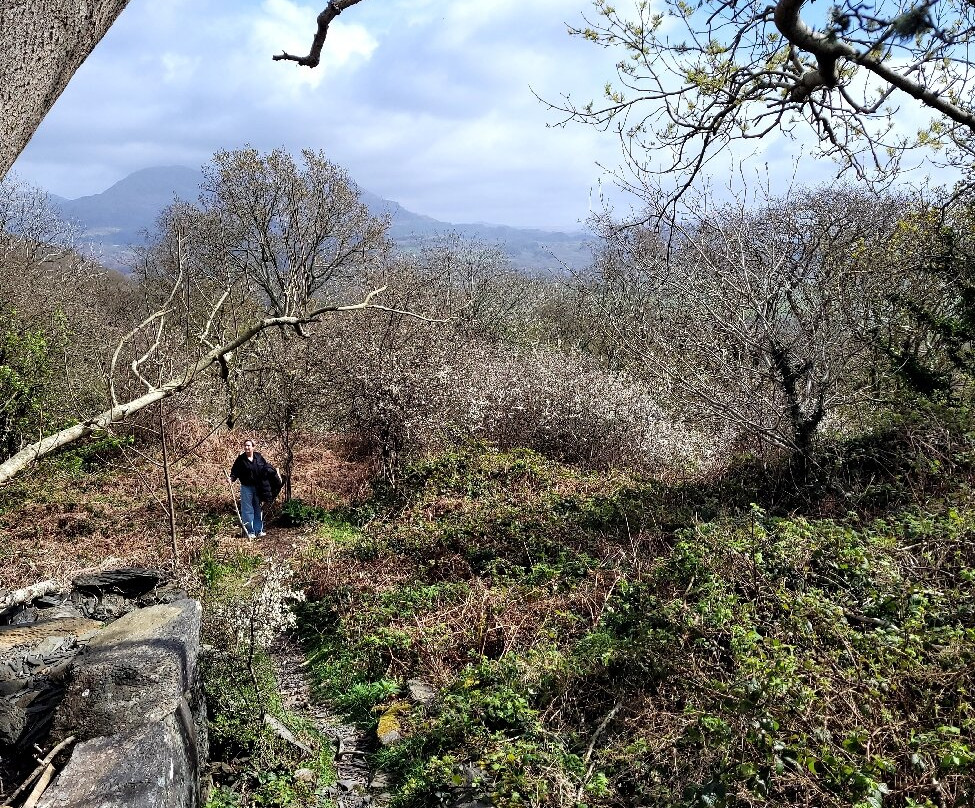 Aberdunant Hall Holiday Park主图