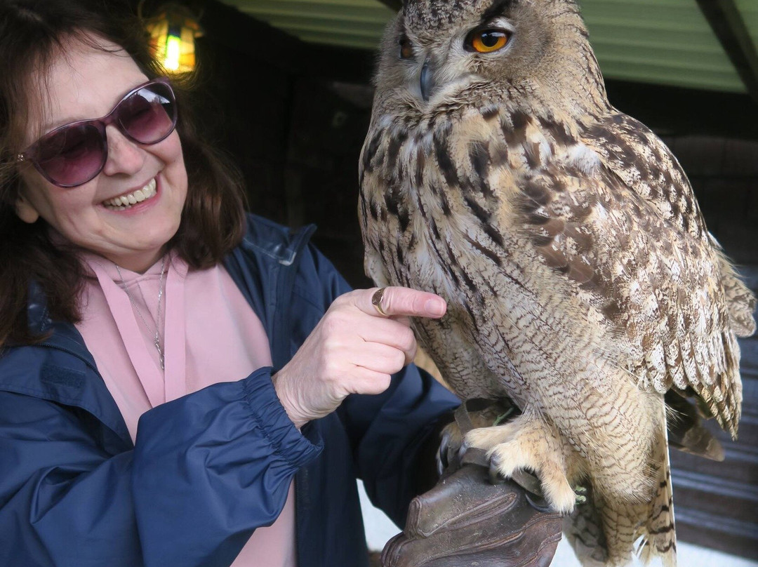 Kintail Birds of Prey Argyll-Dalmally必去景点
