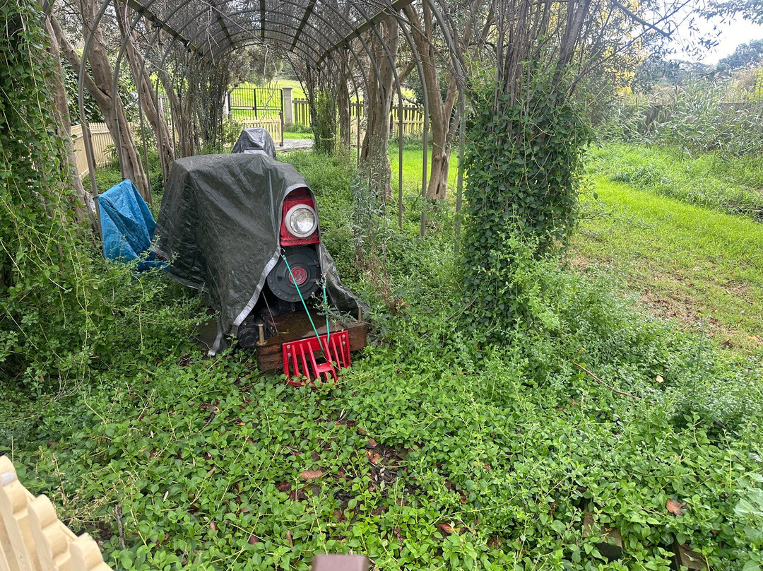 Boneo Discovery Park-Fingal必去景点