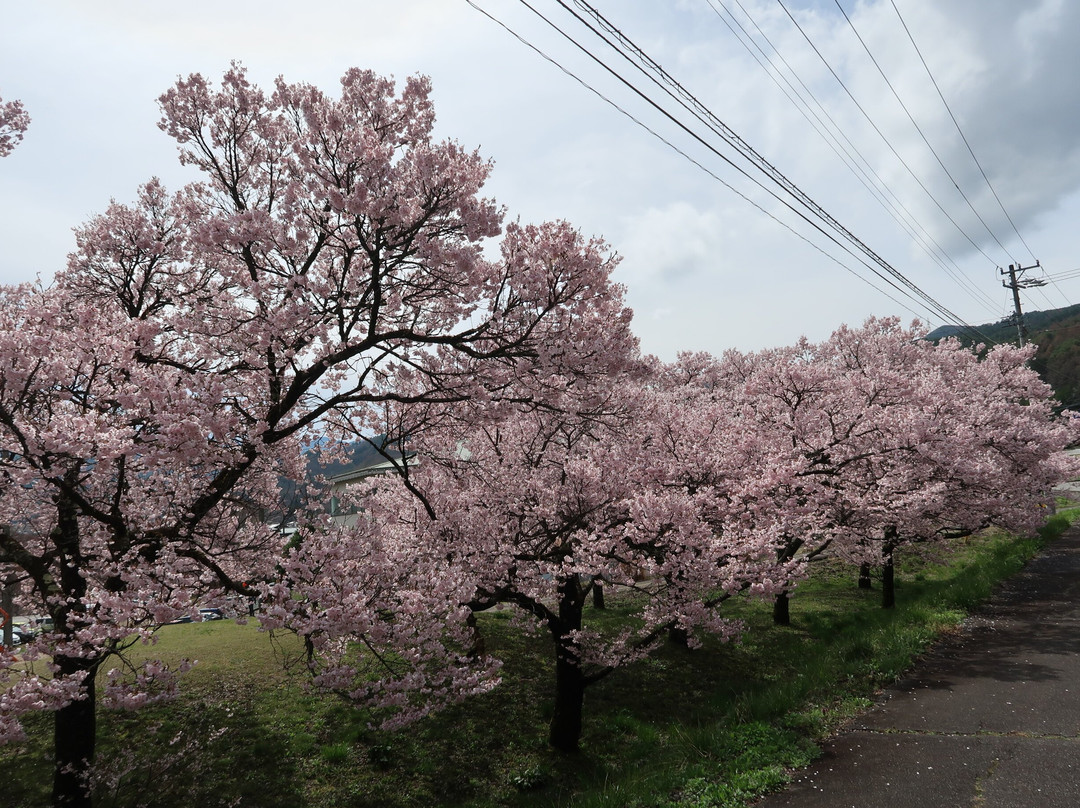 Takato Lake-伊那市必去景点