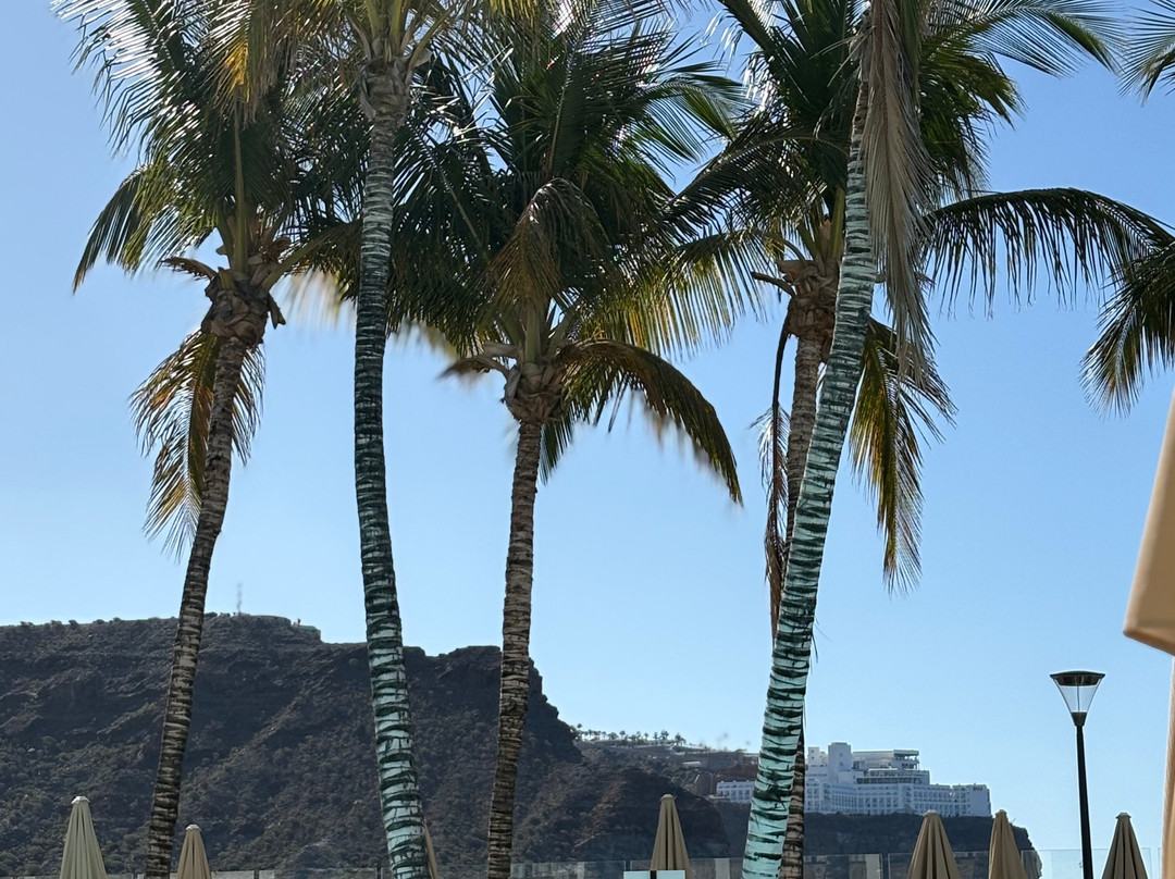 H10 Costa Mogán - Adults Only主图