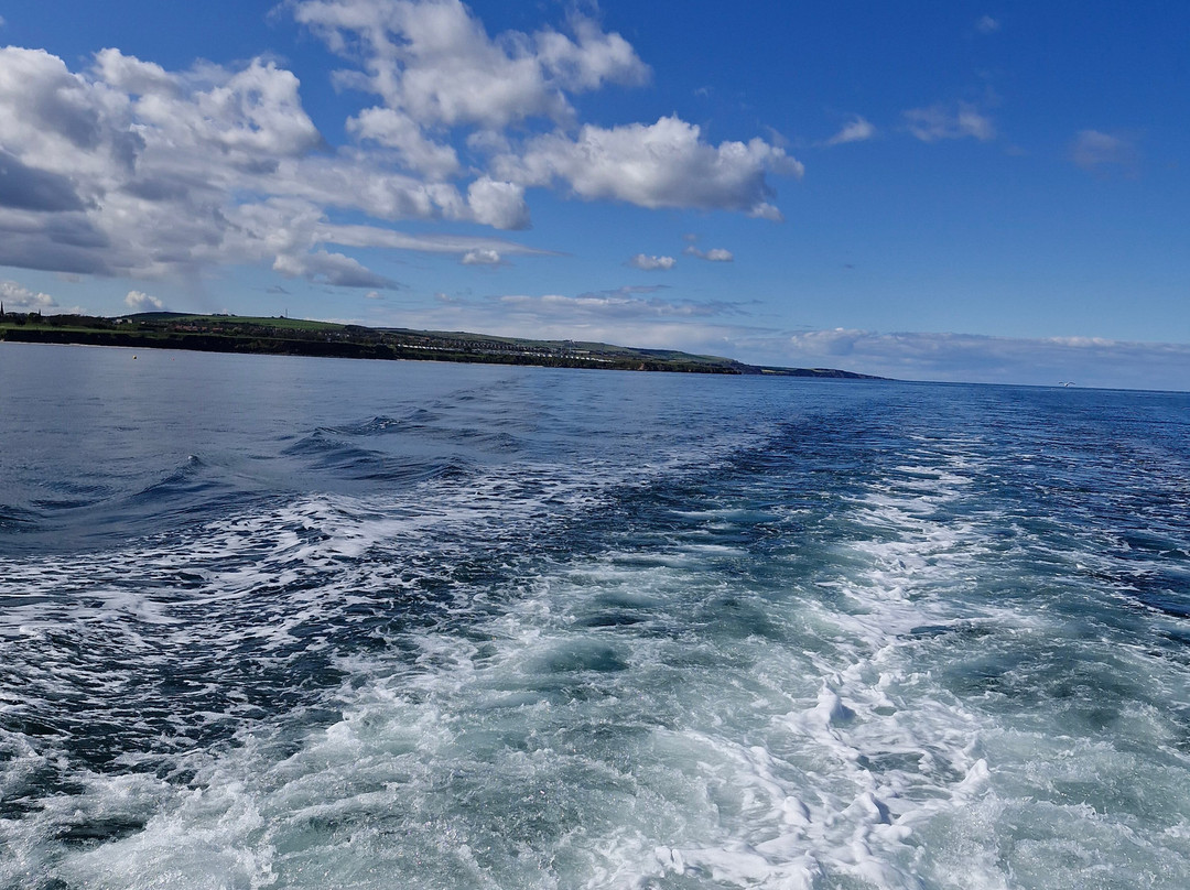 Berwick Boat Trips-特威德河畔贝里克必去景点