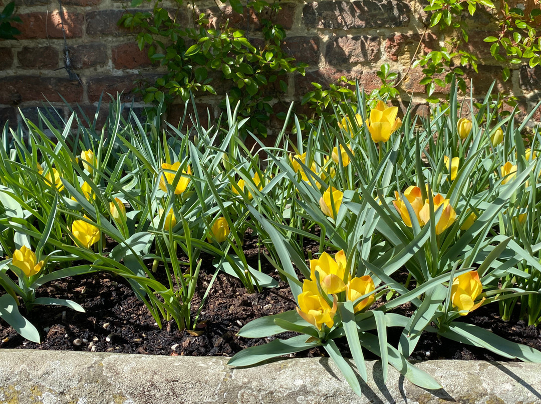 Sissinghurst Castle Garden-Sissinghurst必去景点