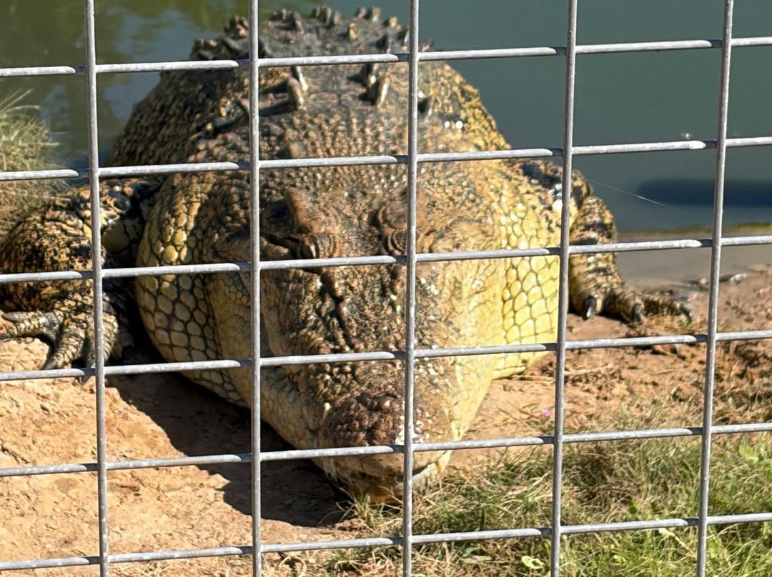Koorana Crocodile Farm-Coowonga必去景点