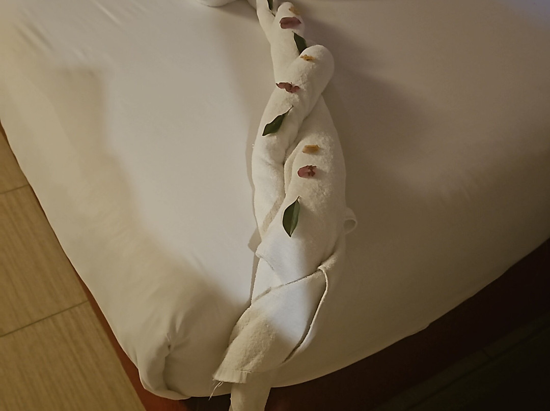 贾兹马卡迪绿洲度假村主图