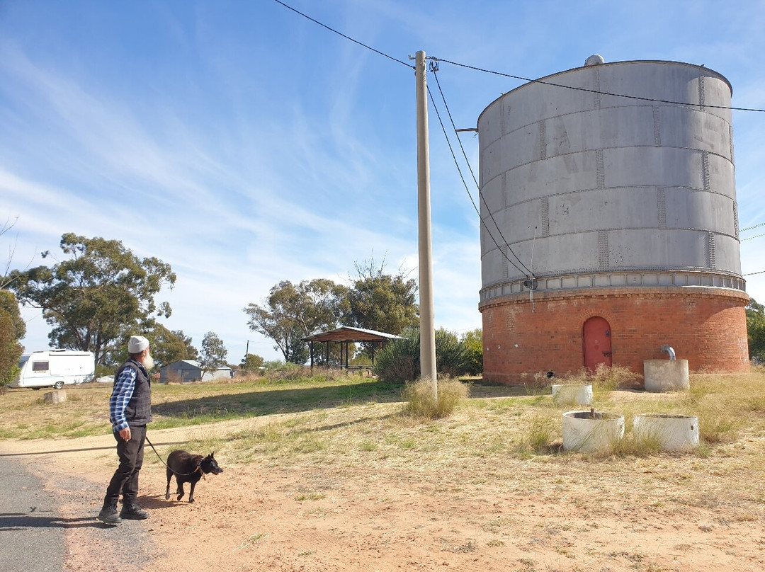 Narrandera Water Tower Art-Narrandera必去景点