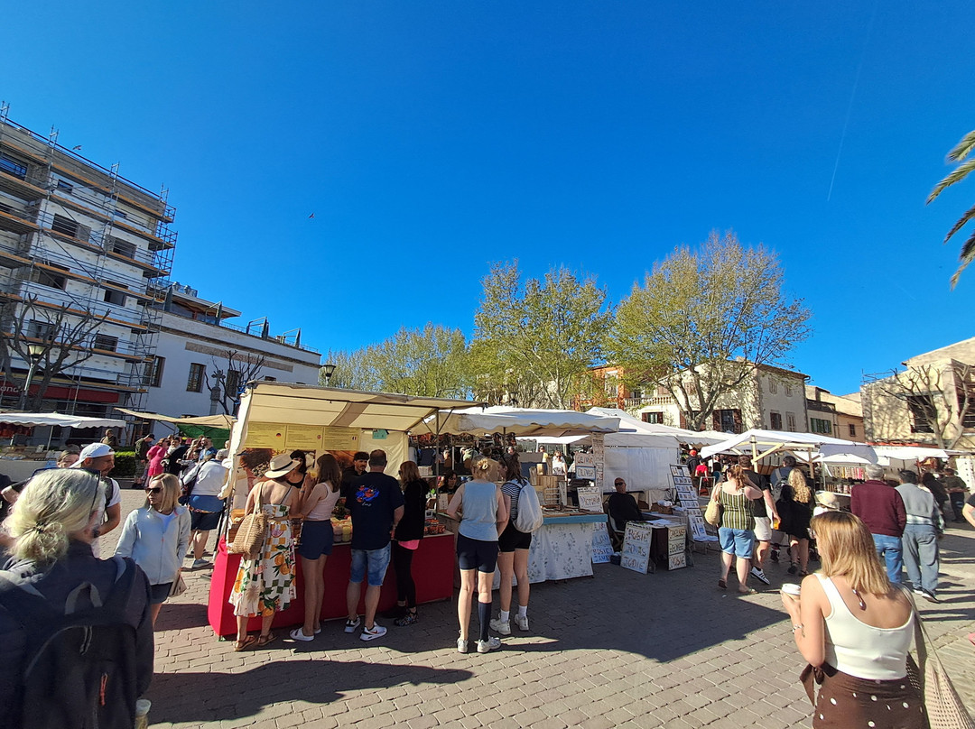 Alcudia Markt-阿库迪亚必去景点