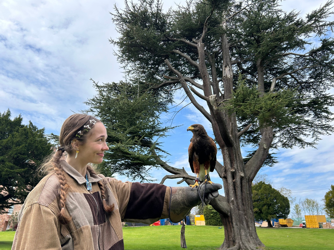 Dalhousie Castle Falconry-邦尼里格必去景点
