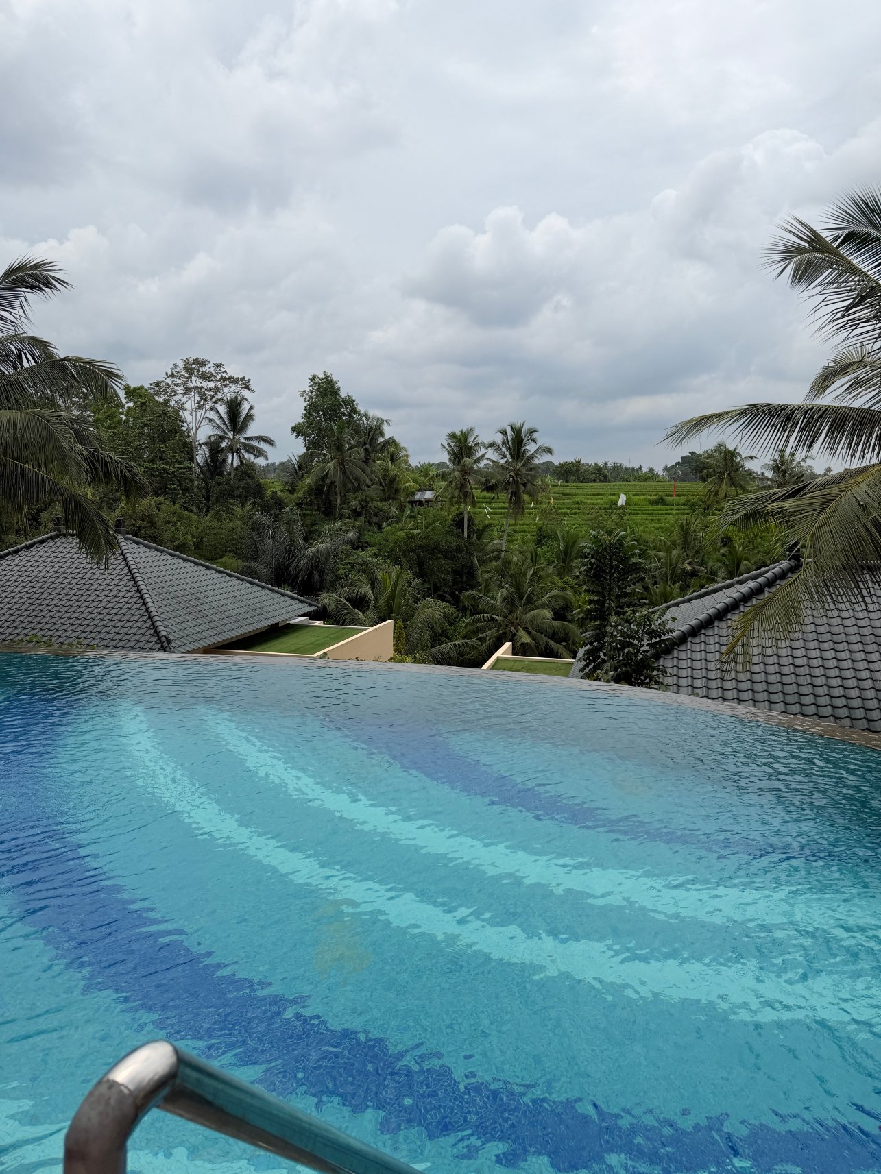 Seres Springs Resort & Spa, Singakerta-旅行者