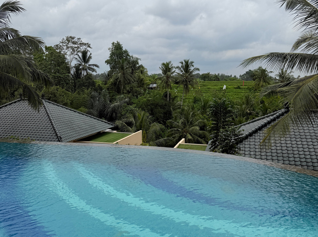 Seres Springs Resort & Spa, Singakerta主图