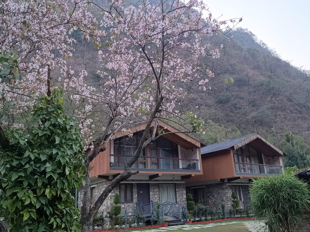 Granny's Den Resort