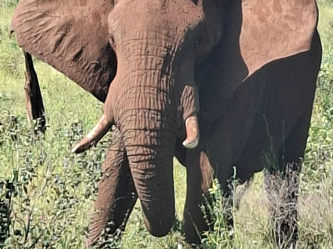 Discover Kruger Safaris-库马堤港必去景点