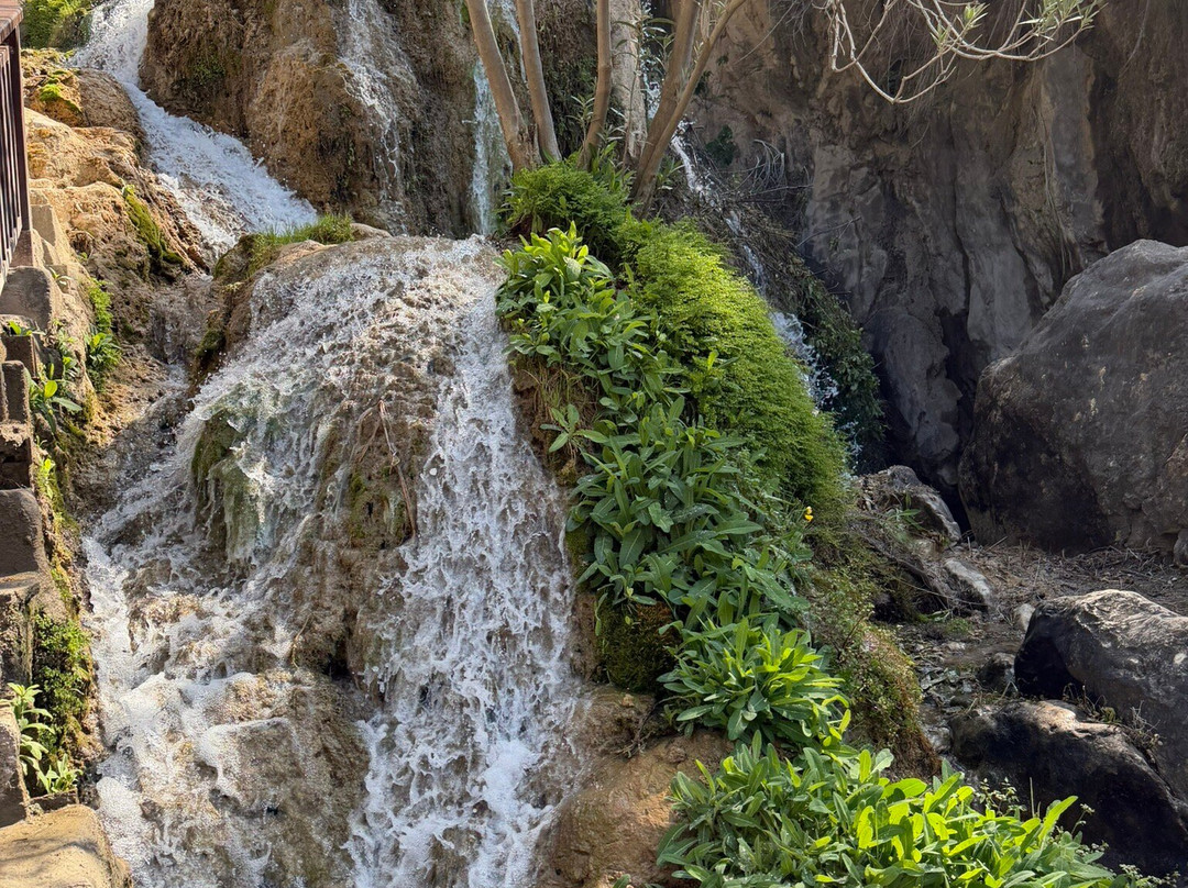 Fonts de l'Algar-Callosa d'En Sarria必去景点