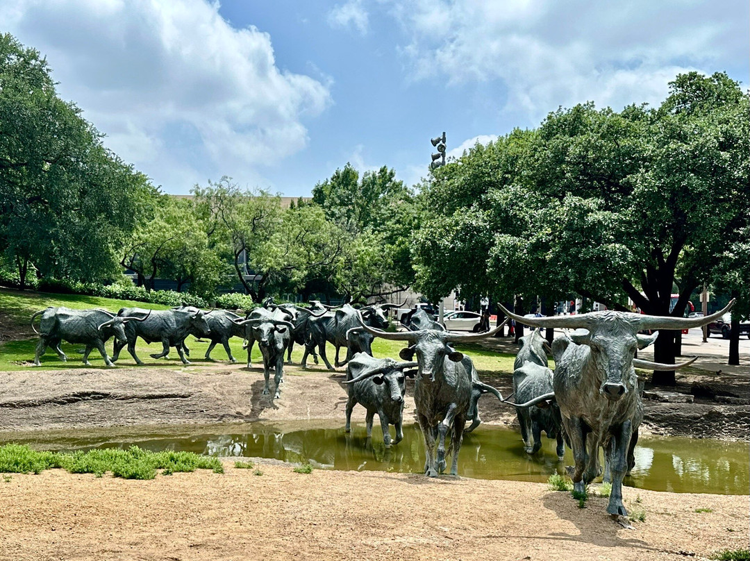 Dallas Cattle Drive Sculptures-达拉斯必去景点