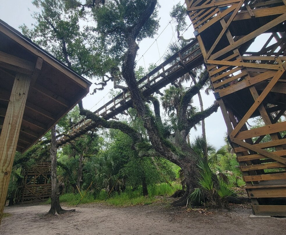 Myakka River State Park-萨拉索塔必去景点