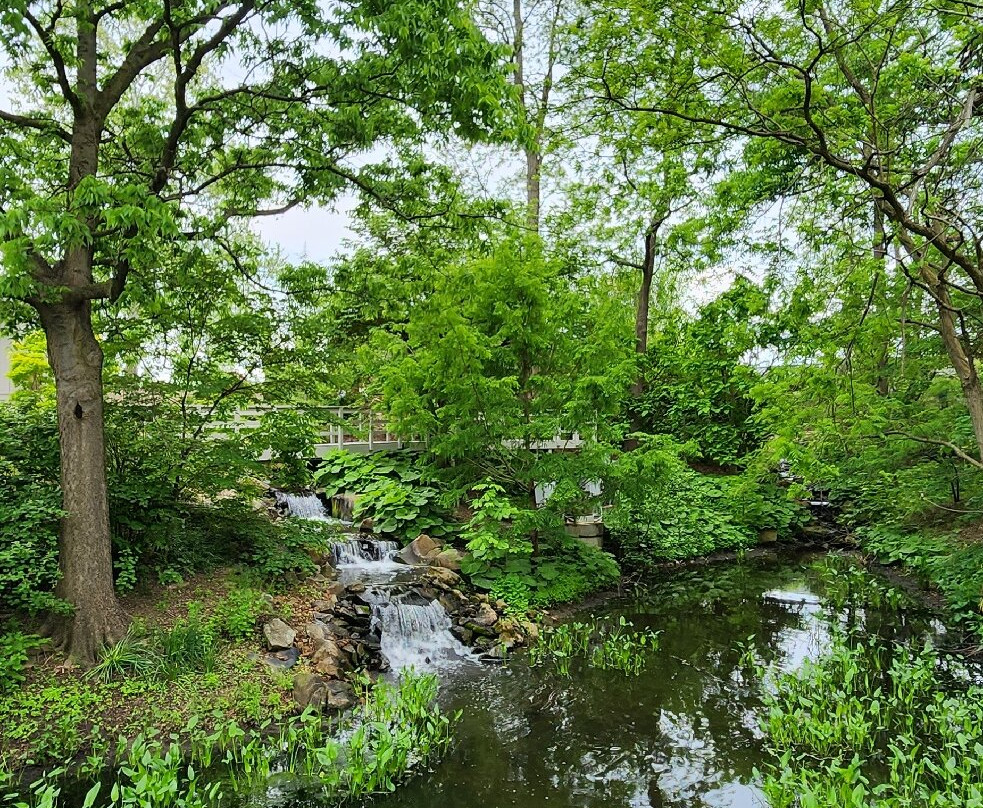 Creation Museum-Petersburg必去景点