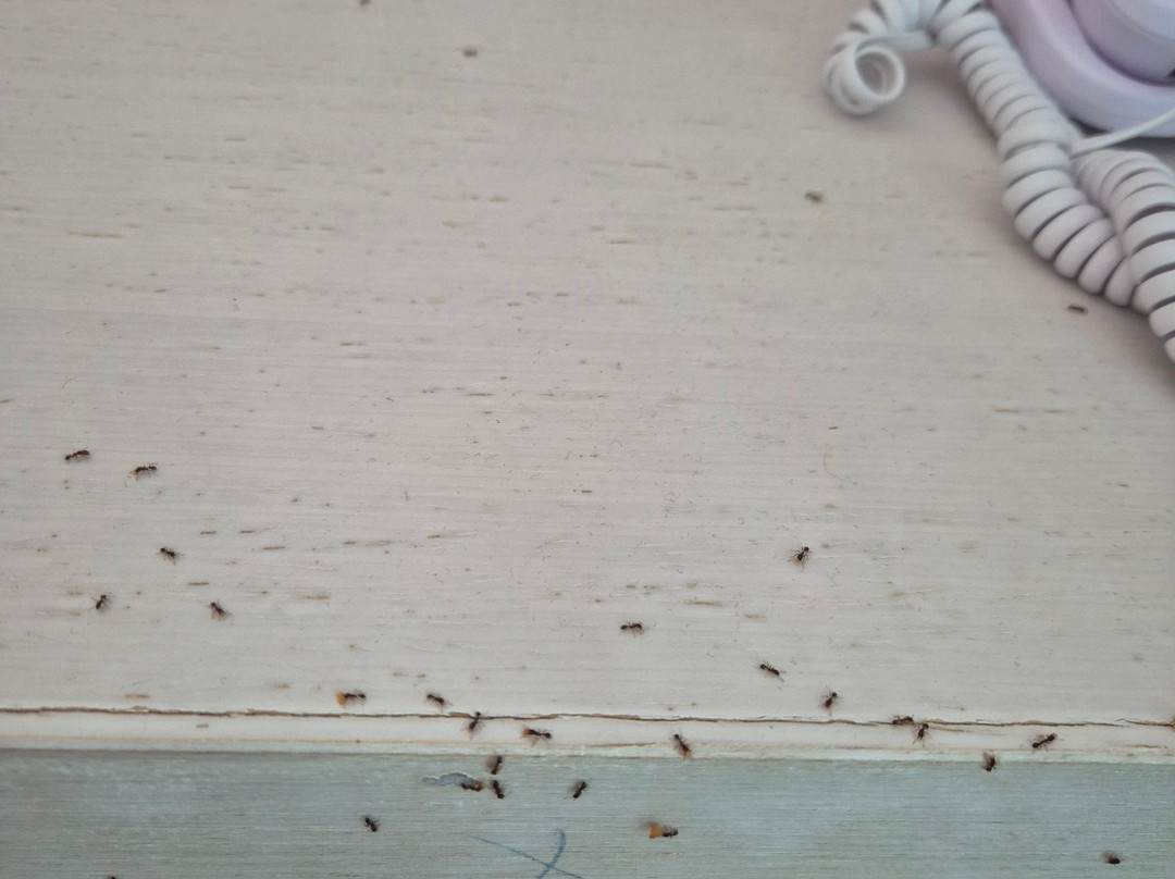 海滩花园精选水疗酒店主图