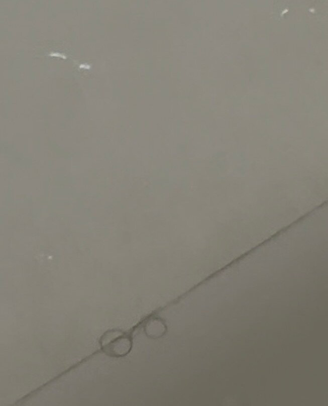 奥兰多玛丽湖拉昆塔温德姆套房酒店主图