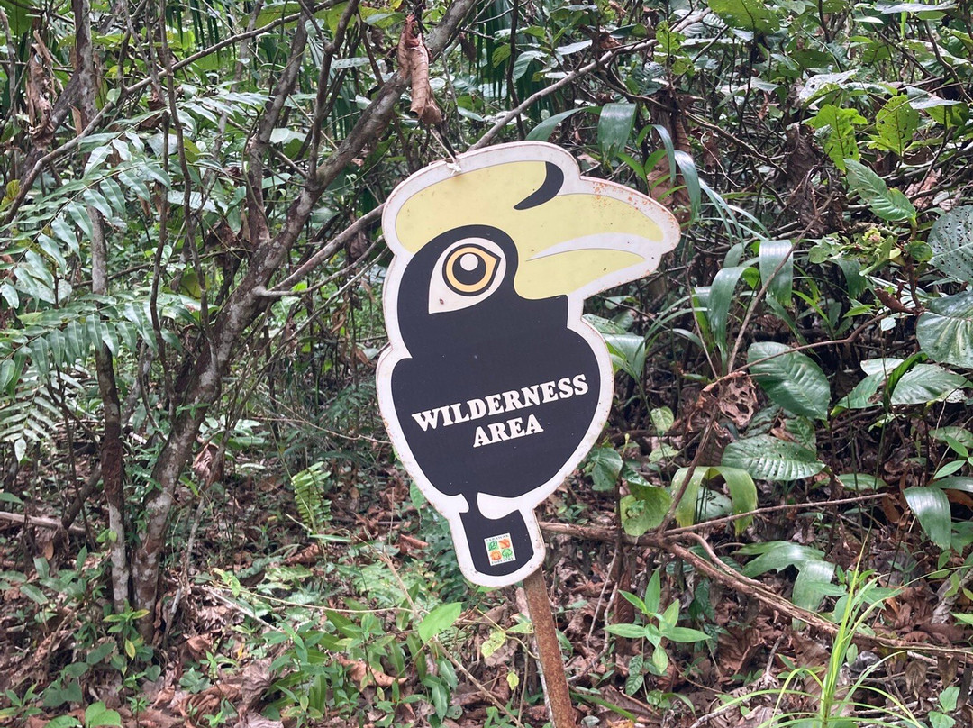 Piasau Nature Reserve-美里必去景点
