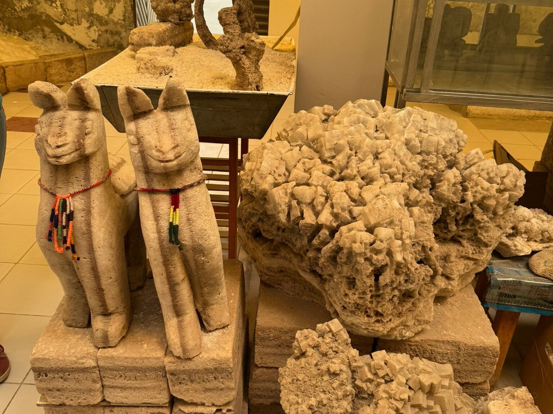 Museo de la Llama y la Sal-Colchani必去景点