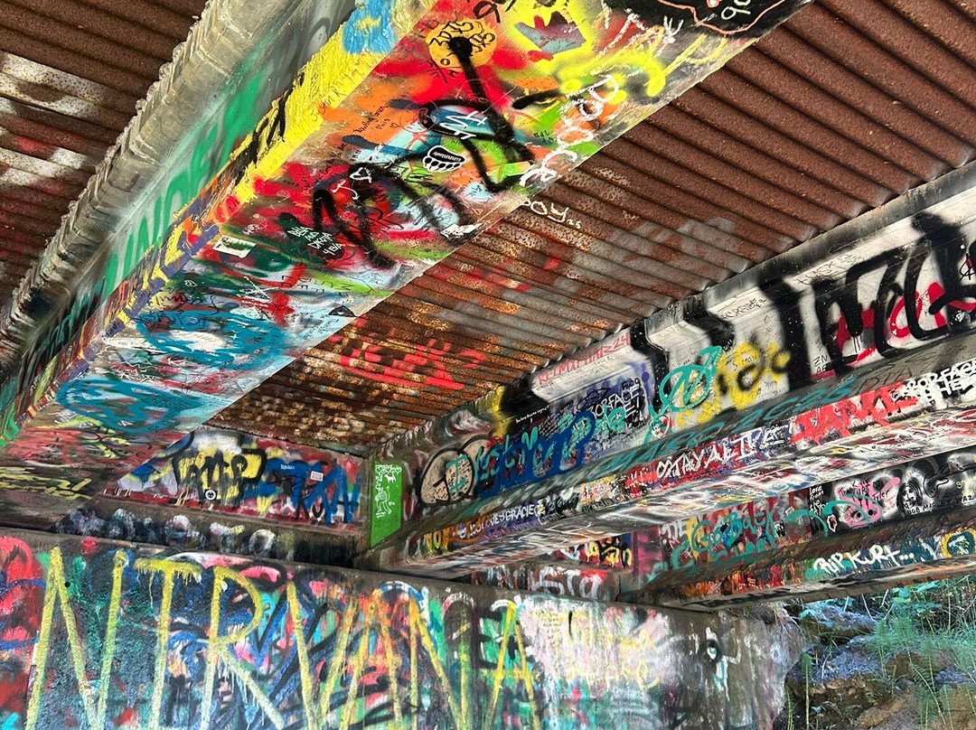 Kurt Cobain Memorial Park-阿伯丁必去景点