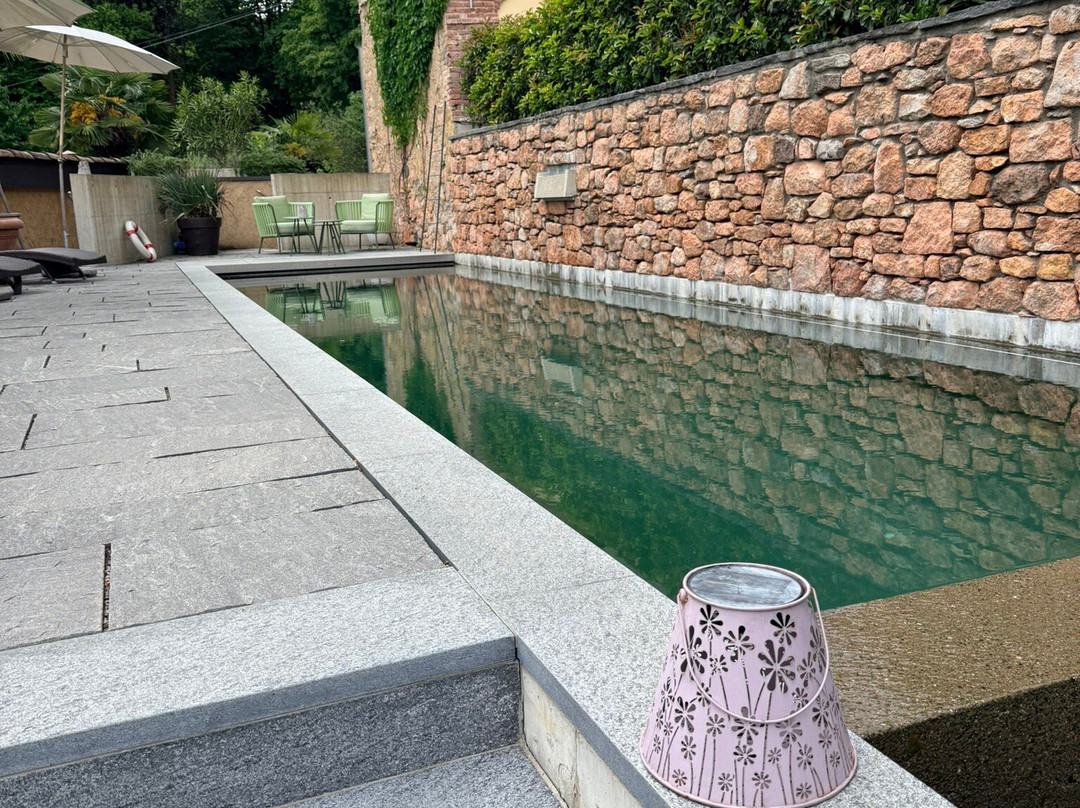 瑞士历史酒店维拉卡罗纳主图